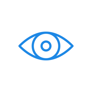 Visi